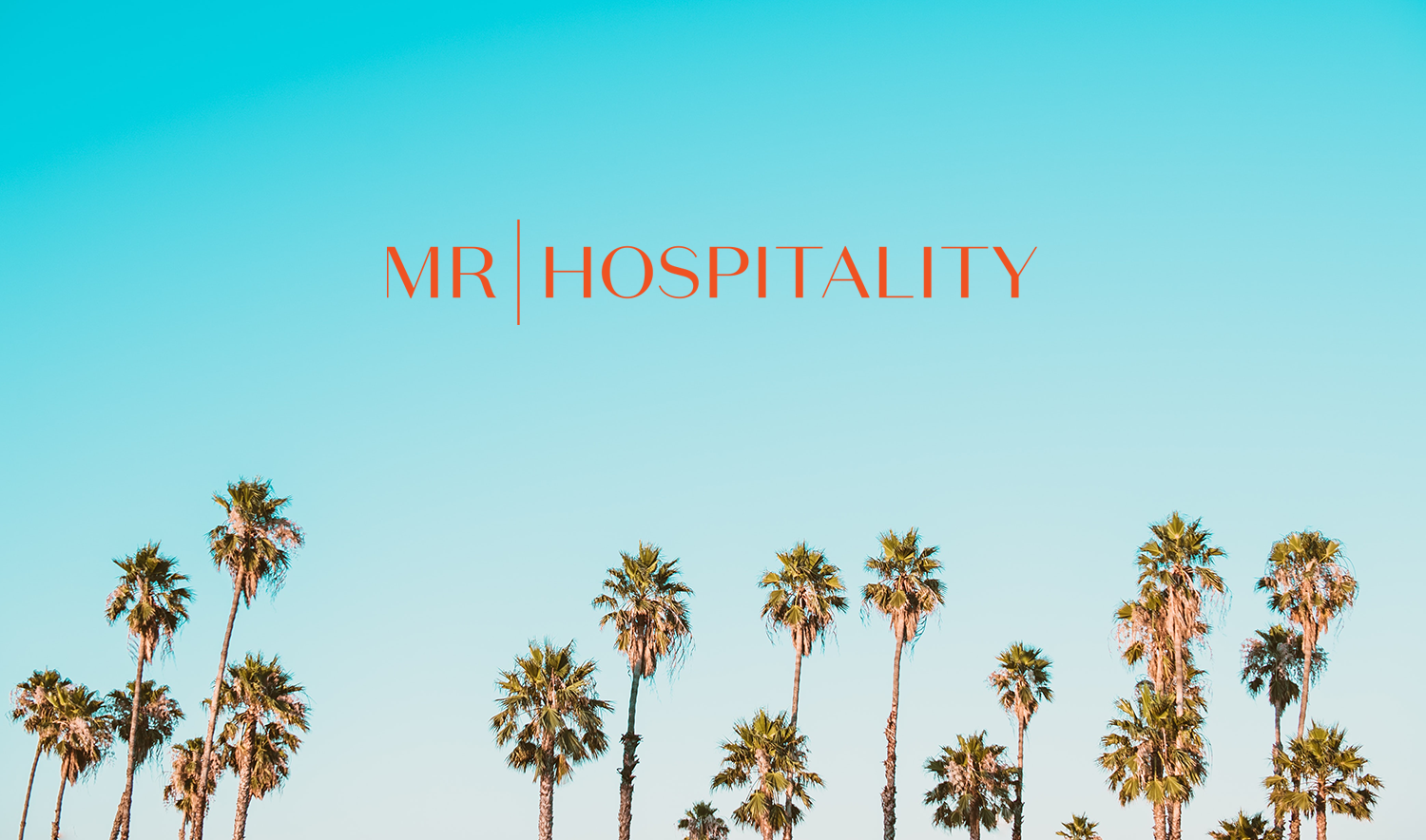 Mr. hospitality brand identity
